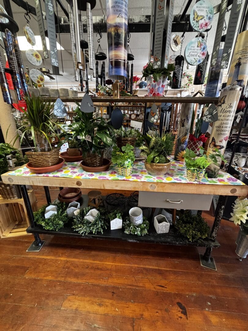 Shop display of potted plants and wind chimes